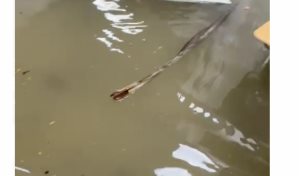 Se inunda Hospital Jaime Oliver Pino de San Pedro de Macorís